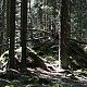 Bouřka na vrcholu Nad Smržem (7.5.2020 9:56)