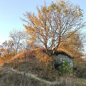filipka on the summit of Devět mlýnů (22.10.2021 22:02)