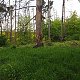 Jiřina on peak Bílá hora (16.5.2021)