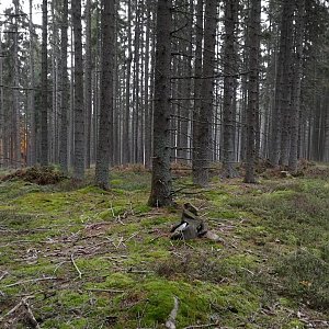 Vladimír Grančay na vrcholu Hrb - JV vrchol (11.10.2022 18:08)