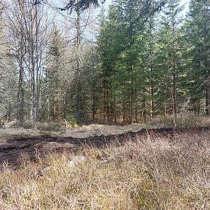 Cyklista 73 na vrcholu Výška - V vrchol (22.4.2023 11:31)