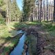 Mykas na vrcholu Výška - V vrchol