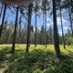 Kuba Ž. na vrcholu Výška - V vrchol