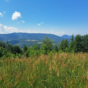 Horalka Anička na vrcholu Priehyb (29.6.2024 11:00)