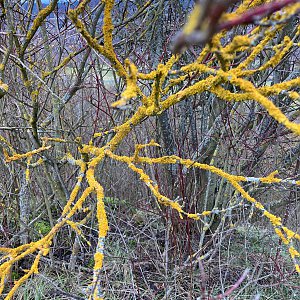 Vanda na vrcholu Damil (15.1.2023 13:46)