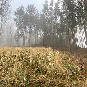 Martin Matějka na vrcholu Sirská hora (13.11.2022 13:11)