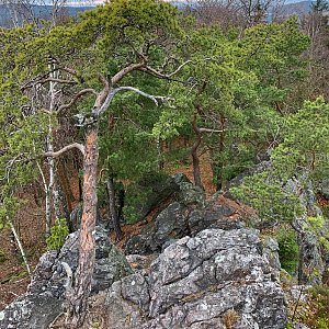 Jan Matiášek na vrcholu Čertova skála (28.11.2021 8:43)