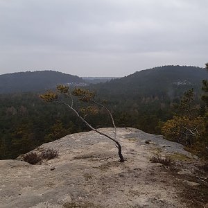 ZdenkaV on the summit of Malý Vlhošť (4.3.2023)