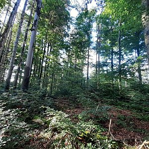 Adéla Luptáková na vrcholu Radvanovický vrch (18.7.2021 16:30)