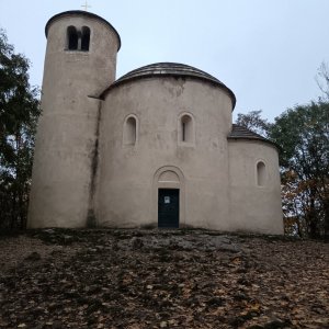 Panda toulavá on the summit of Říp (27.10.2024 6:55)