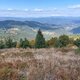 Mykas na vrcholu Stratenec