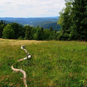lubob na vrcholu Butorky (12.7.2015 13:00)