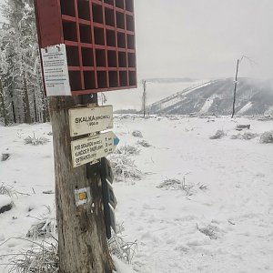kaltz na vrcholu Skalka (6.1.2021 13:41)