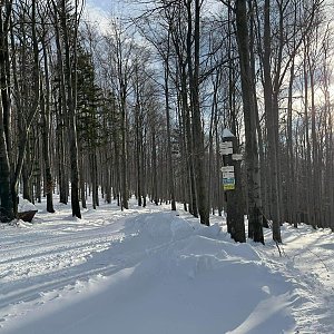 Ivan Moser na vrcholu Malá Prašivá (20.12.2022 10:01)