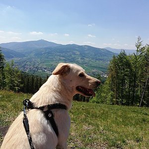 Vendula Schafferová na vrcholu Malá Prašivá (18.5.2020 9:24)