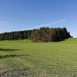Vladimír Grančay na vrcholu Ve Vrších (31.3.2021 14:57)
