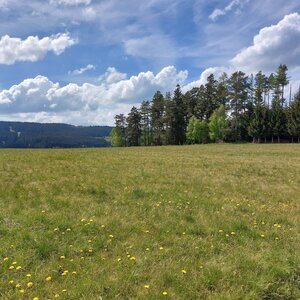 Mykas na vrcholu Kamenný vrch (29.4.2024 15:10)