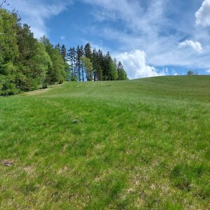Mykas na vrcholu Hrbek (29.4.2024 14:36)