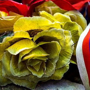 Dobros na vrcholu Malý Travný (26.5.2018 12:55)