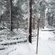 Šárka na vrcholu Malý Travný