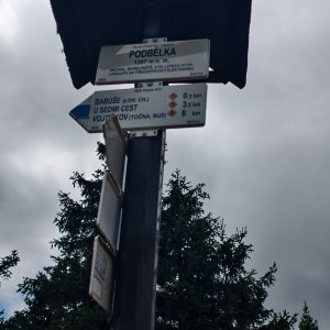 Ila na vrcholu Podbělka (20.8.2026 12:56)