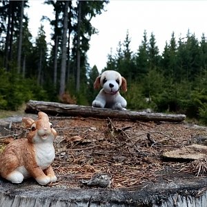 Jiřina na vrcholu Salajka (1.5.2022 15:10)