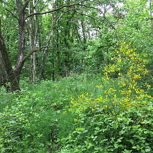 ZdenkaV na vrcholu Mlýnský vrch (29.5.2021 15:40)