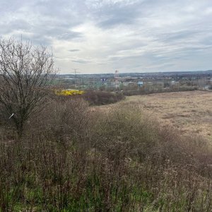 Betička na vrcholu Na Jelenách (30.3.2025 13:45)