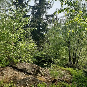 ZdenkaV na vrcholu Rohovec V (11.5.2022 16:00)