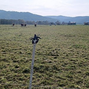 PA!WELL na vrcholu Za Lípami (29.10.2022 13:37)