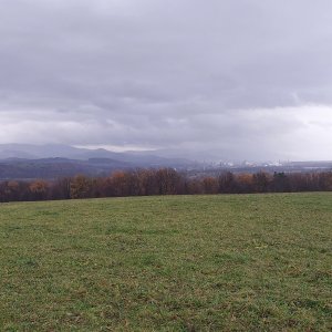 Ila on the summit of Záplotí (28.11.2024)