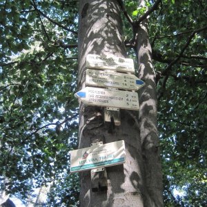 ZdenkaV na vrcholu Bílé kameny (20.9.2025 12:10)