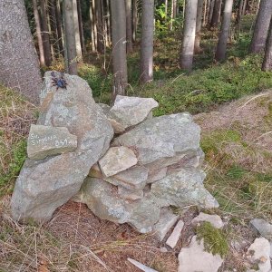 PA!WELL on the summit of Janikula S (11.10.2026 10:17)