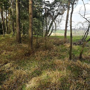 Vladimír Grančay na vrcholu Hora (30.4.2021 16:35)