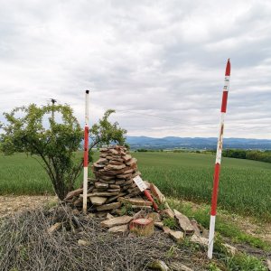 Šárka on the summit of U Větřáku (10.5.2025 15:13)