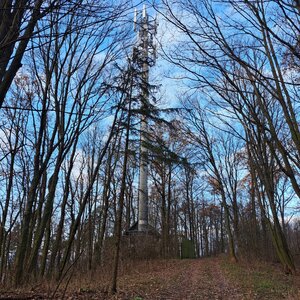 Horalka Anička on the summit of Hůrka (16.12.2023)