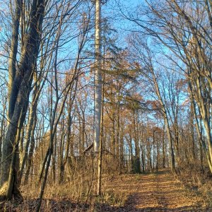 PA!WELL on the summit of Hůrka (1.12.2024 14:30)