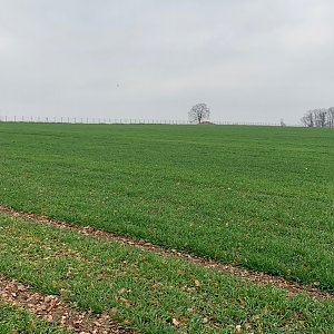Moravská brána