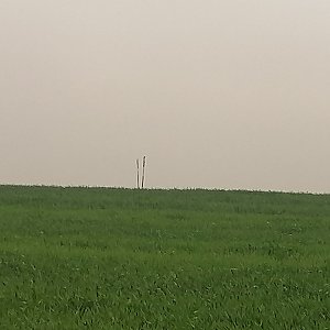 Zdena Trommler na vrcholu Čarodějka (19.5.2023 8:18)