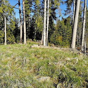 Šumava