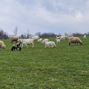 Marcela Kubíčková na vrcholu Horečka (21.3.2026 10:35)