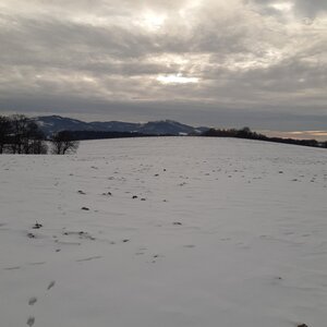 ZdenkaV na vrcholu Řepník (11.1.2024 14:32)