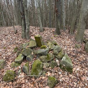 Radka D na vrcholu Velká Lipová (31.3.2024 14:04)