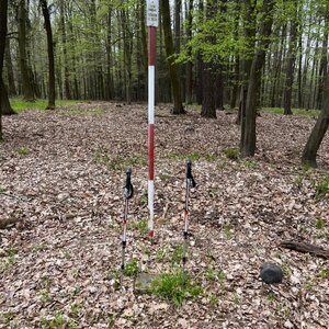 Radka D na vrcholu Vlčák  (31.3.2024 14:23)