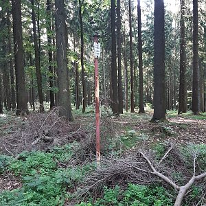 ZdenkaV na vrcholu Kuželový vrch (14.6.2022)
