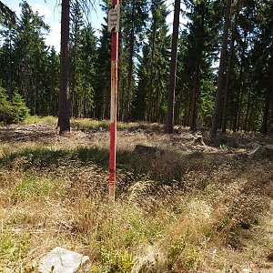 Nojby na vrcholu Bukový vrch (11.8.2022 14:16)