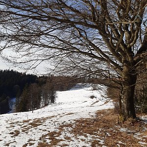 ZdenkaV na vrcholu Benešky (Z vrchol) (16.1.2022 12:00)