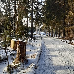 ZdenkaV na vrcholu Benešky (V vrchol) (16.1.2022 11:37)