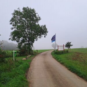 Dzanny na vrcholu Kneiff (3.8.2024 8:18)
