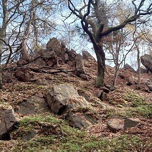 Nojby na vrcholu Warteck (2.11.2022 13:10)